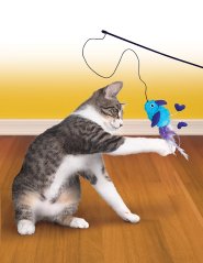 819o31jqeql-_sl1500_