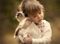 children-cat-playing-photography-2__880