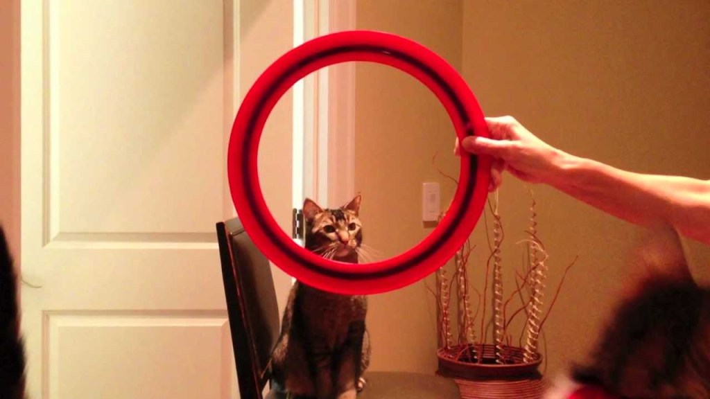4. Jump Through a Hoop