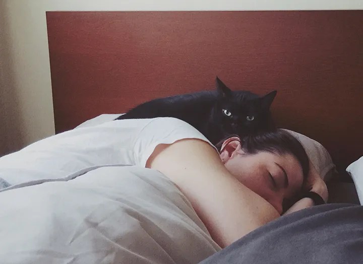 Why Do Cats Sometimes Groom Their Owners' Hair?